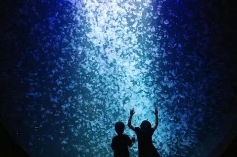 Kamo Aquarium