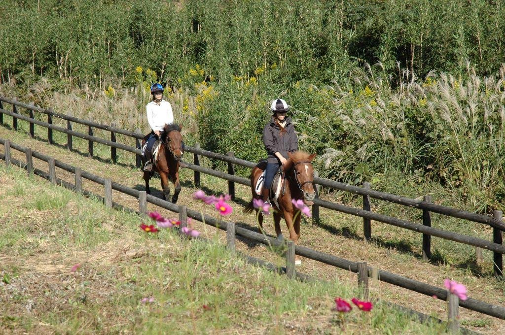 Meboro Dam Equestrian Park