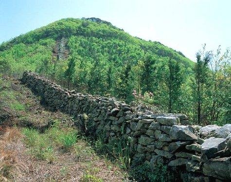 Toyotama Wild Boar Wall