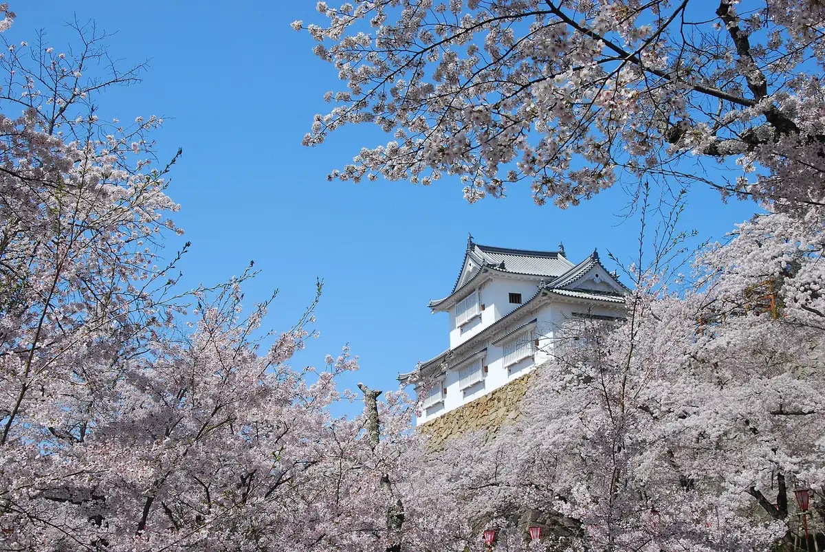 Tsuyama Shiro (Tsuruyama Park)