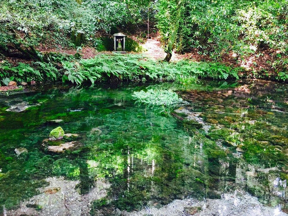 Ikeyama Spring