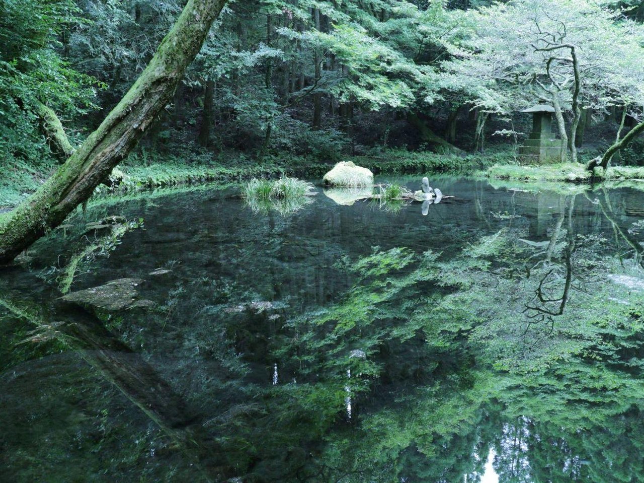 Yamabuki Spring