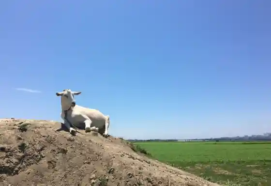 Kahoku Kata Hori Ranch / Yume Miruku Kan