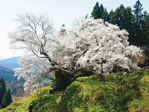 Butsuryuji