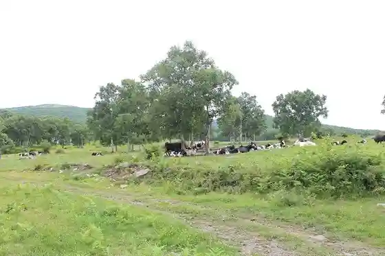 Sugadaira Ranch