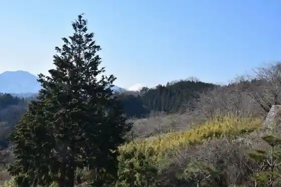 Ono Lookout