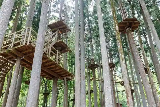 Forest Adventure Ueno