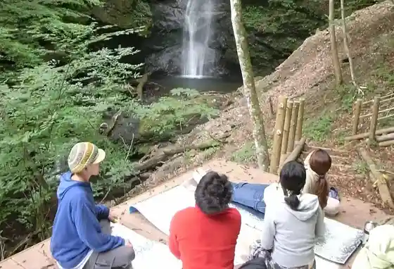Forest Therapy