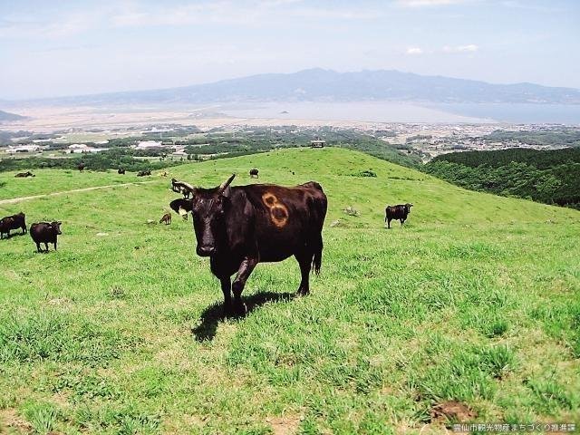 Azuma Pasture Village