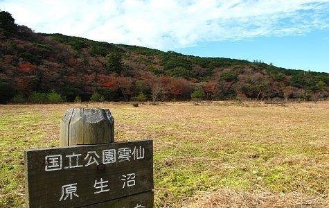 Genseinuma Marsh Plant Community