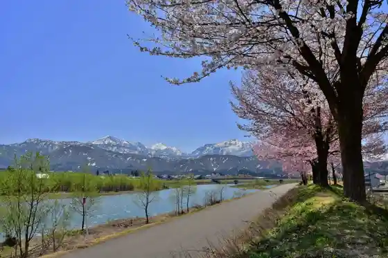 Iono Kawa Sakura Zutsumi