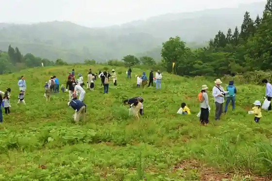 Oda Warabi Village