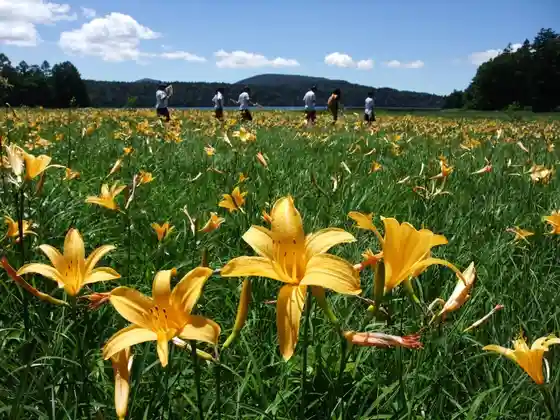 Oze National Park