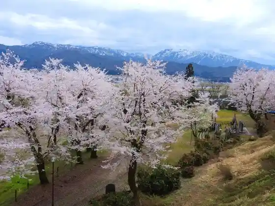 Koide Park