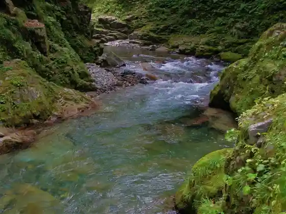 Sa Nashi Kawa