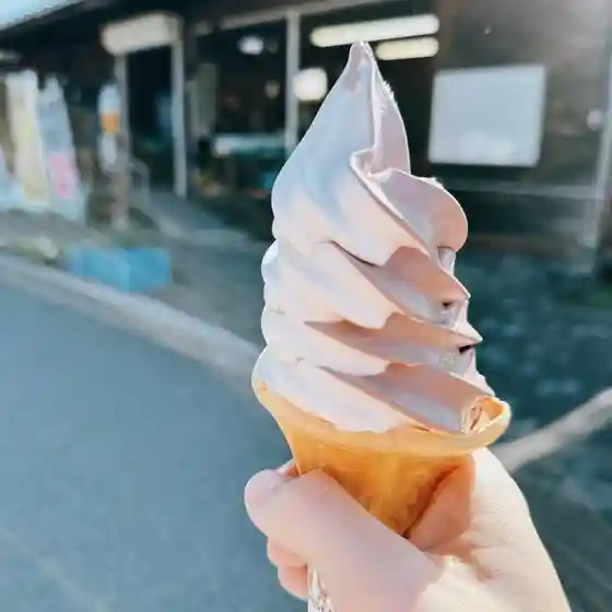 ザ・ベジタブルショップ21