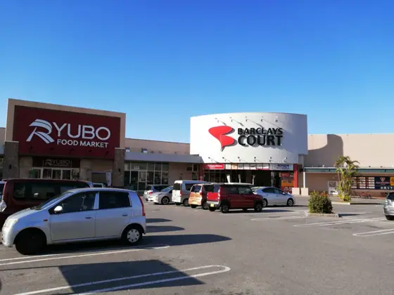 Ryubo Travel Service Uranishi Ryubo Store