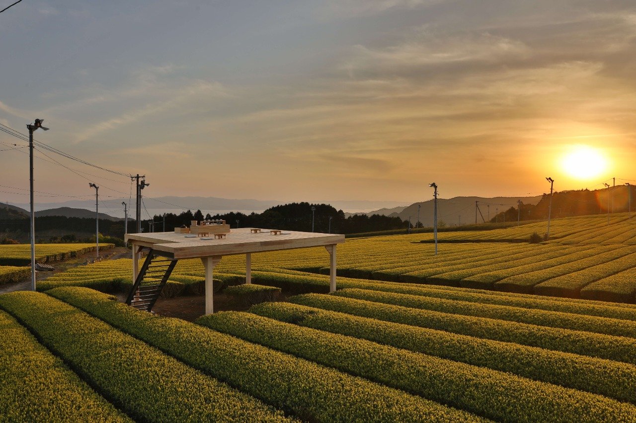 Tea Tourism