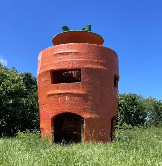Carrot Observatory