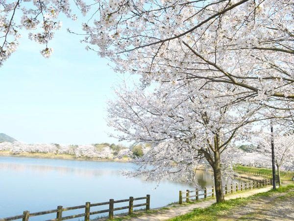 Tatsuoka Nature Park