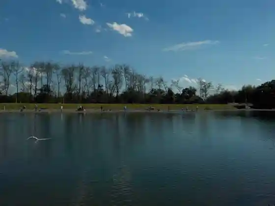 Fishing Park Arcus Pond Utsunomiya (Managed Fishing Pond)