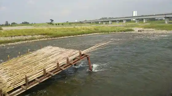 Ujiie Ohashi Tourist Fish Weir