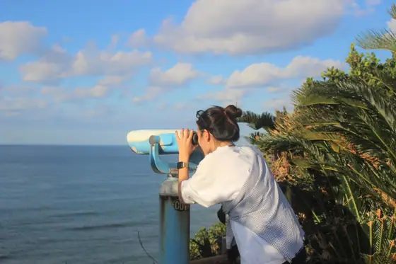 Sea Turtle Viewpoint