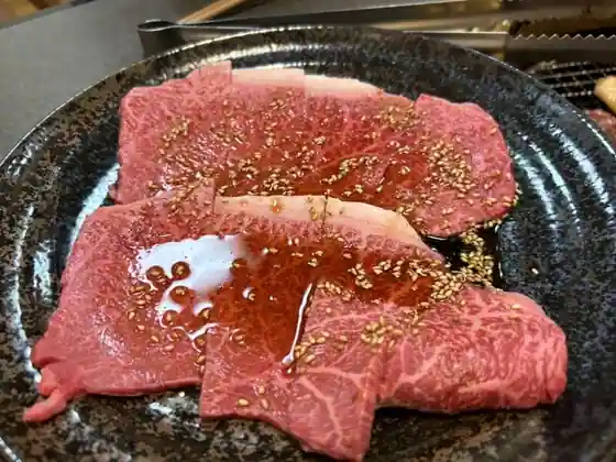Ushi Kokoro