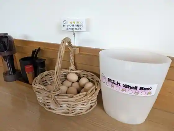 Tamago Iori Hashitama