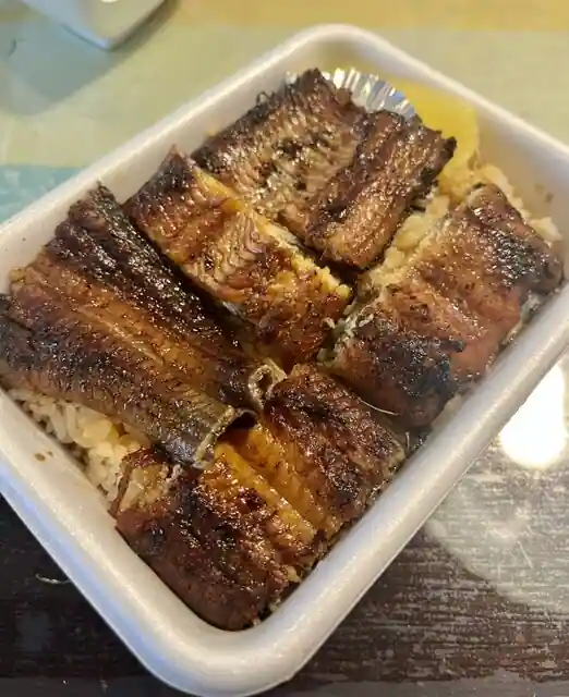 Higashi Unagi Kushimoto Shi
