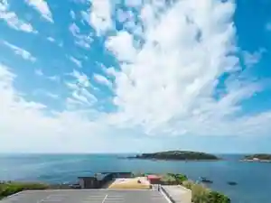 TUZUMI WAKAYAMA SUSAMI