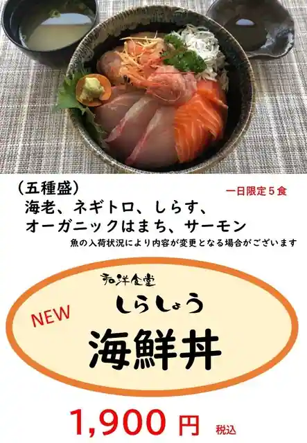 Wayo Shokudo Shirasho