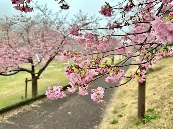 Miya Riba Watarai Park