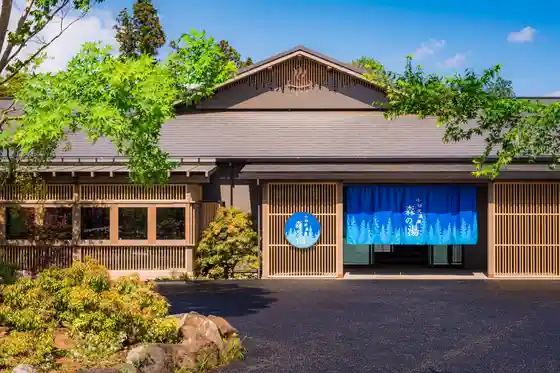 Kotani Ryu Onsen Mori Baths