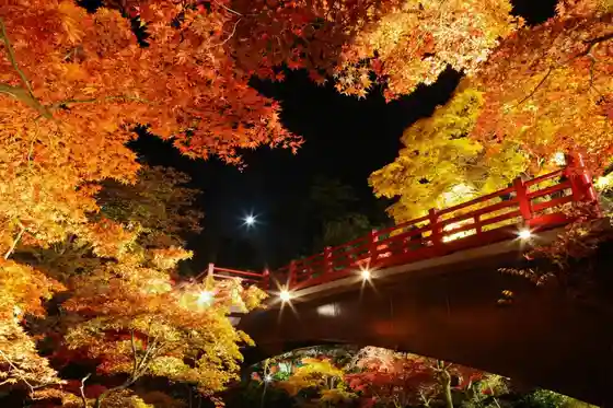 Yahiko Park Momiji Tani Raitoappu