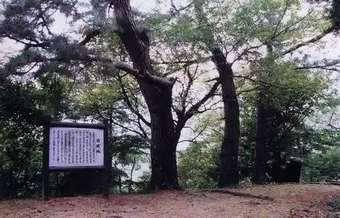 Kikyo Joshi