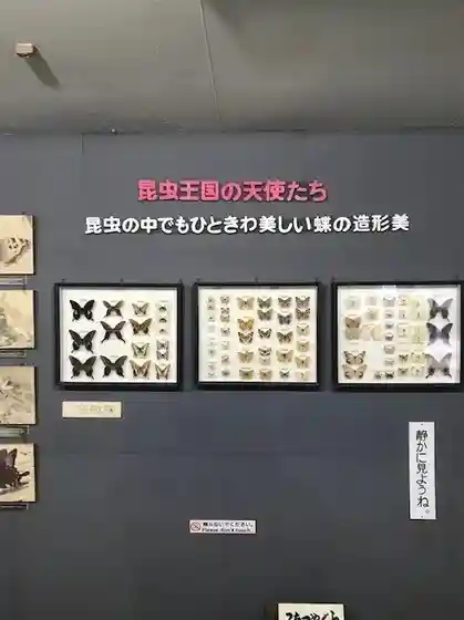 Yahiko Sancho Museum