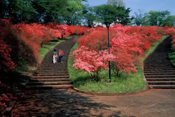 Nagamine Park