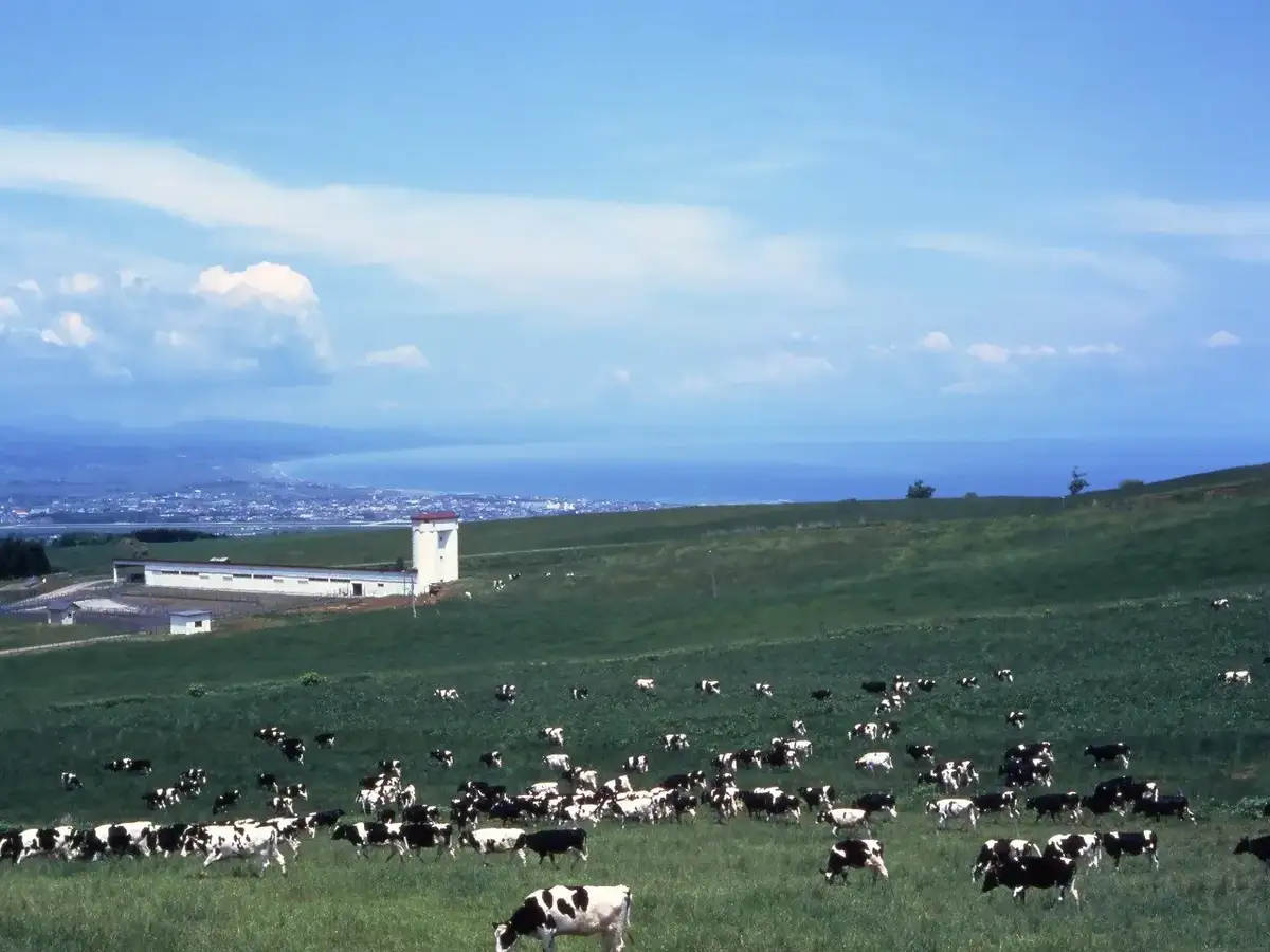 Yakumo Ikuseibokujo Lookout
