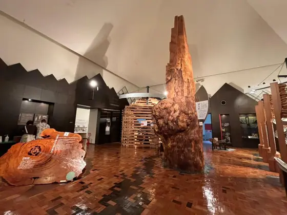 Yakusugi Nature Museum