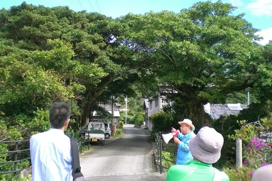 Yakushima Village Tour