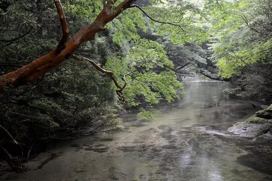 Yodogawa