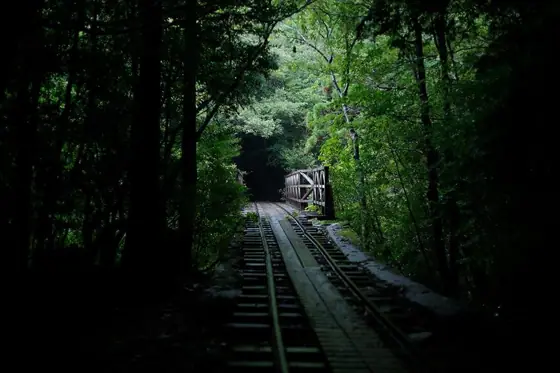 Trolley Road