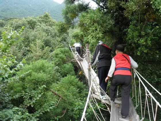 Kozue Kairo Canopy