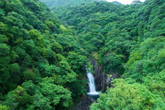 Ryujin Falls