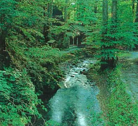 Sekiguchi Fudoson Gorge
