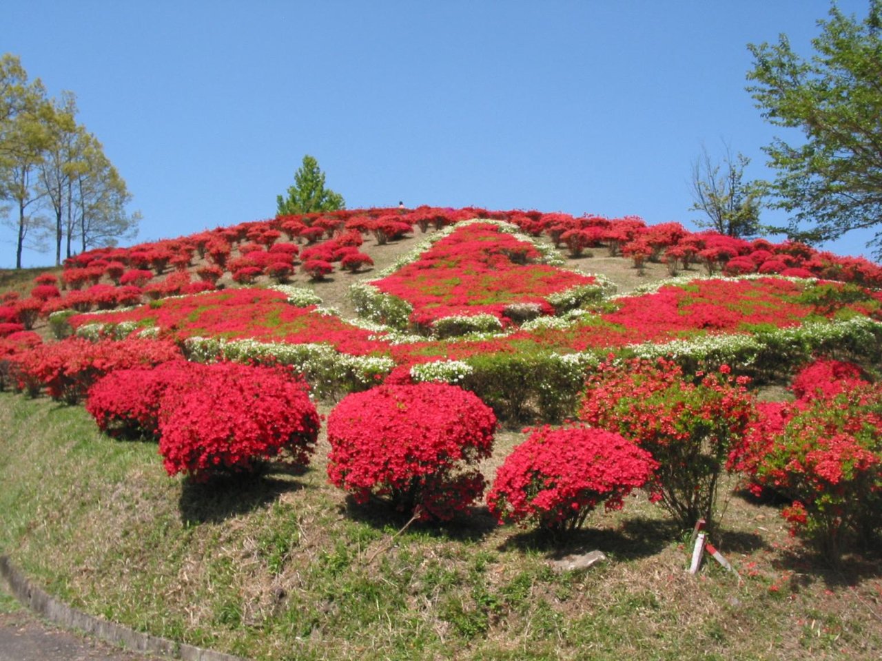 Maruoka Park
