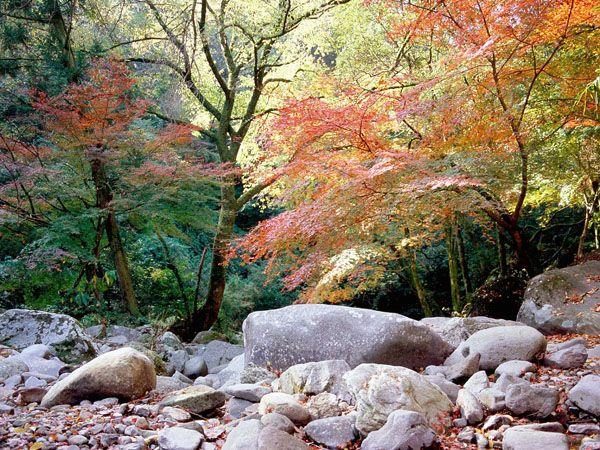 Takema Gorge