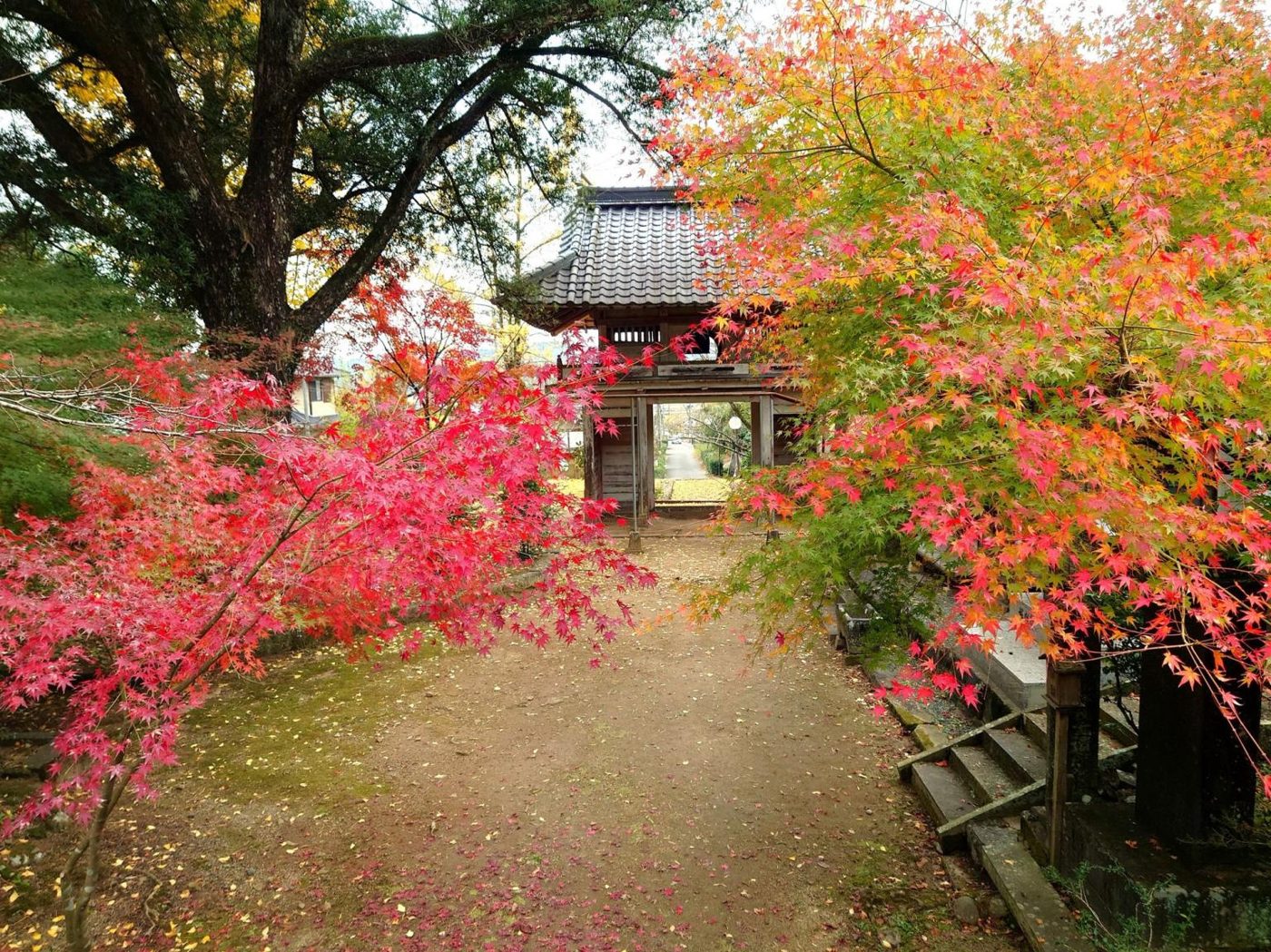 Nichirin-ji Temple