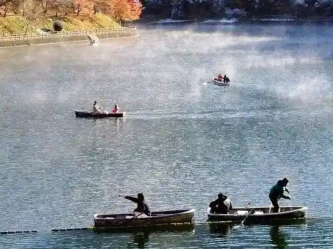 Pond Smelt Fishing at Ijira Lake